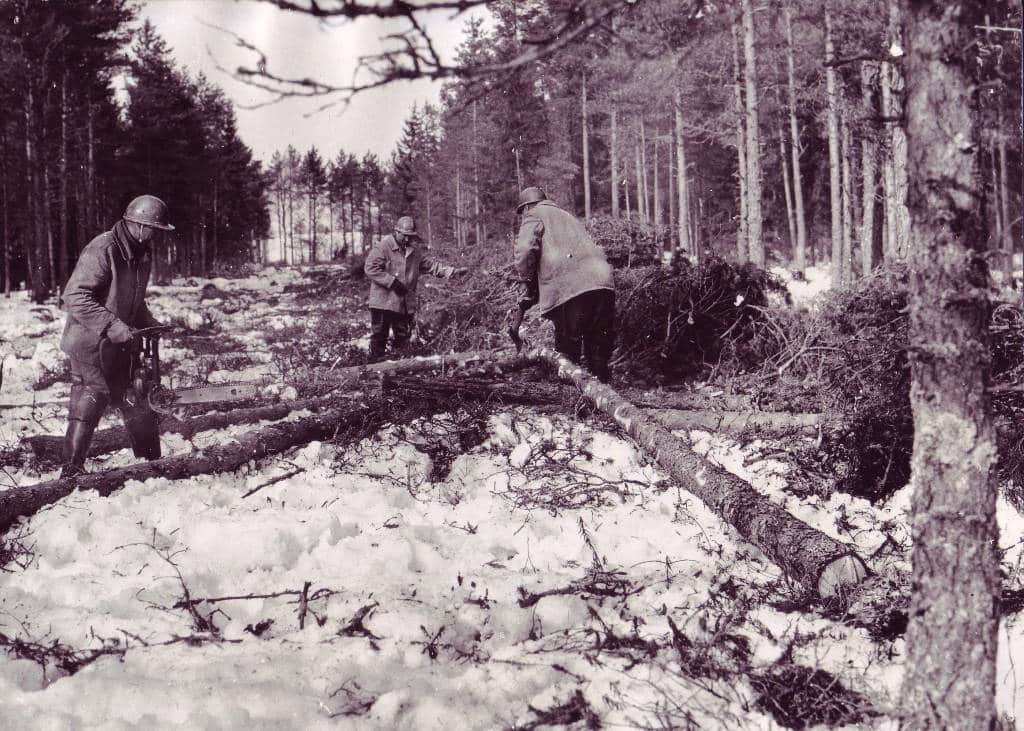 Meie teekond alates 1950. aastast tänaseni